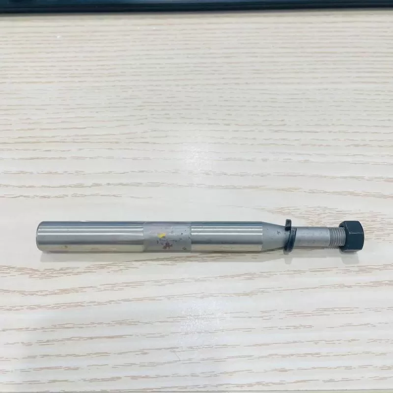 Agricultural Machinery Spare Part: Worm Shaft 700204080